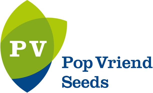 Pop vriend seeds