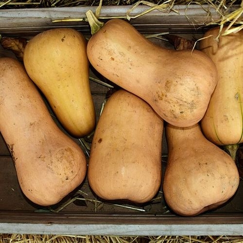 Single Product Image