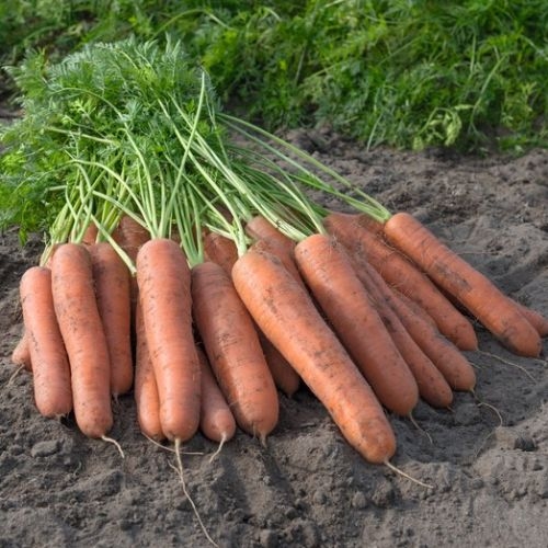 Single Product Image