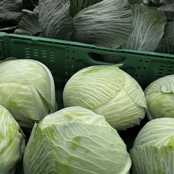 Single Product Image