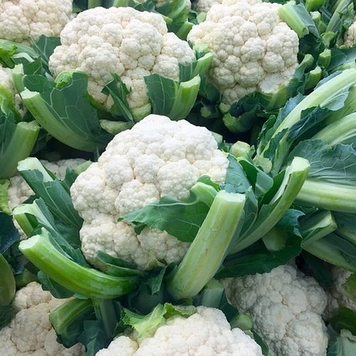 Single Product Image