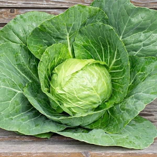 Single Product Image