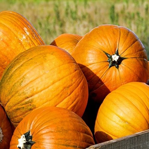 Single Product Image