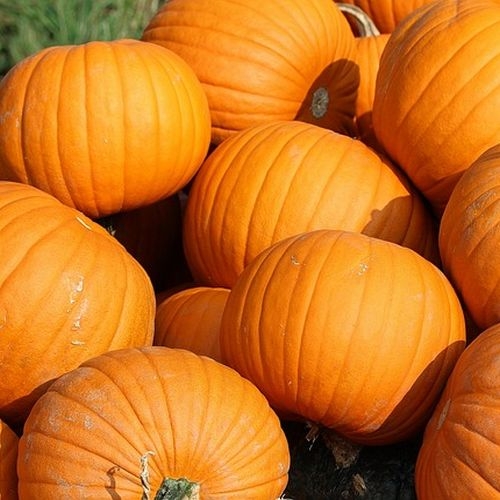 Single Product Image