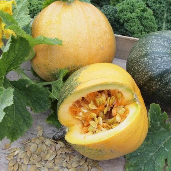 Single Product Image