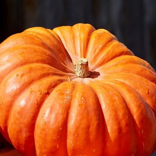 Single Product Image