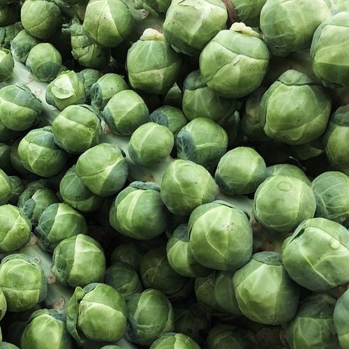 Single Product Image