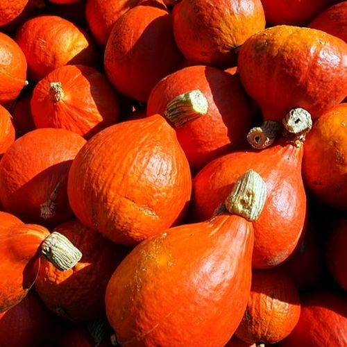 Single Product Image